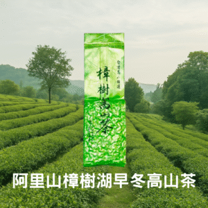 樟樹湖高冷茶---早冬