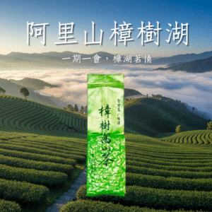 阿里山樟樹湖高冷茶