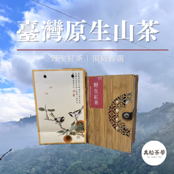 珍藏臺灣野生紅茶