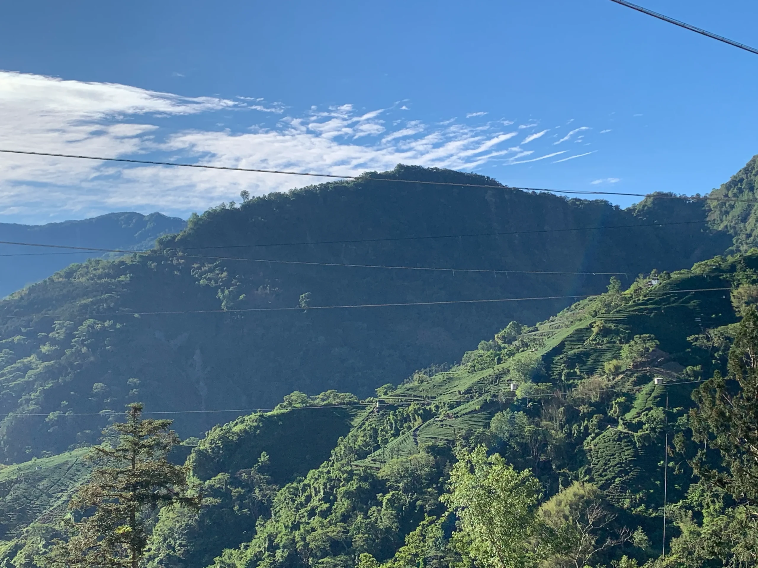 台灣高山茶區山景｜禹松茶學